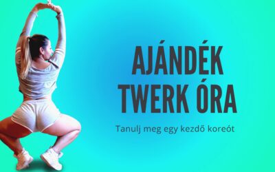 Ajándék twerk óra